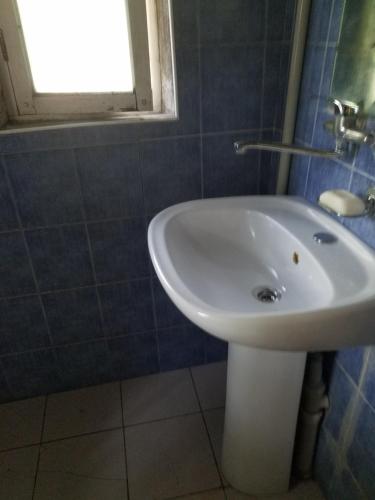 505161017.jpg
