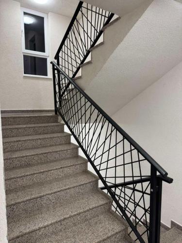 830838963.jpg