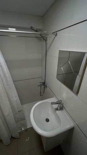 527605868.jpg