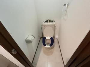 thumbnail: 539451849.jpg