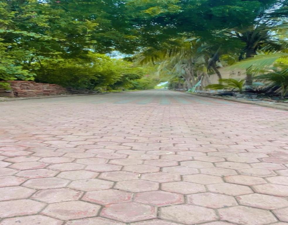 4cdd59e20585151e5ae79b7ca2080b2f.jpg