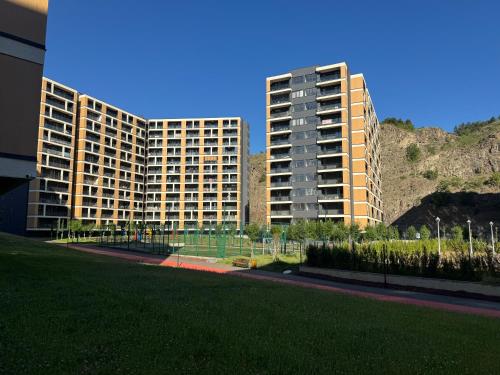 887063230.jpg