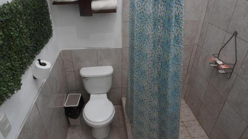 579007676.jpg