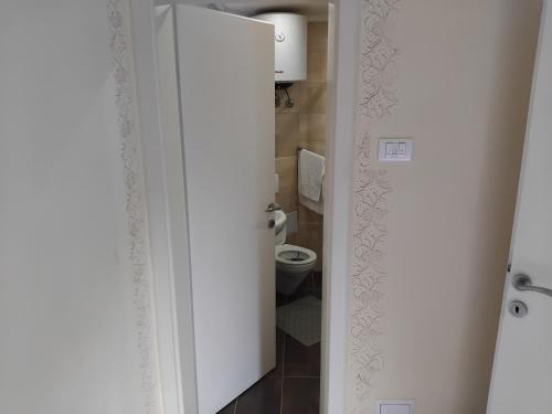 597778101.jpg