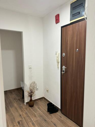 585670260.jpg