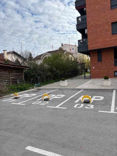 855579069.jpg