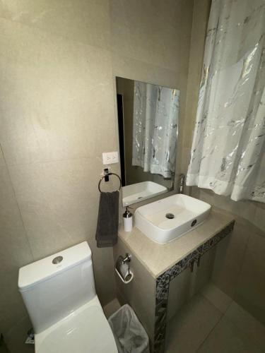 615557922.jpg