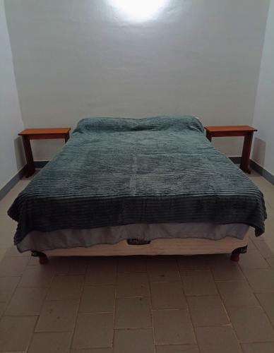 629072537.jpg