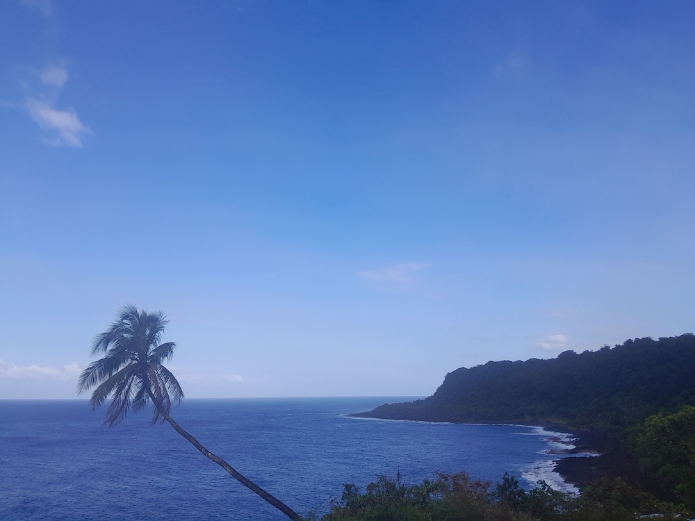 Beach/ocean view
