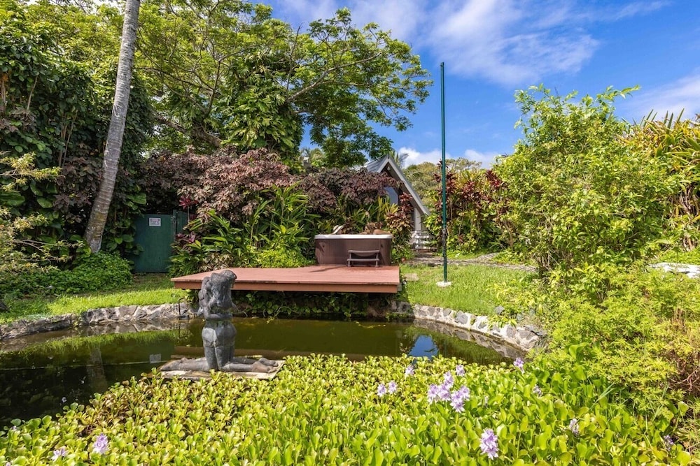 Garden view