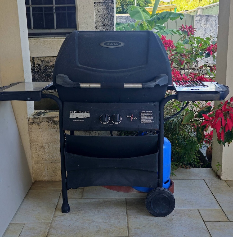 BBQ/picnic area