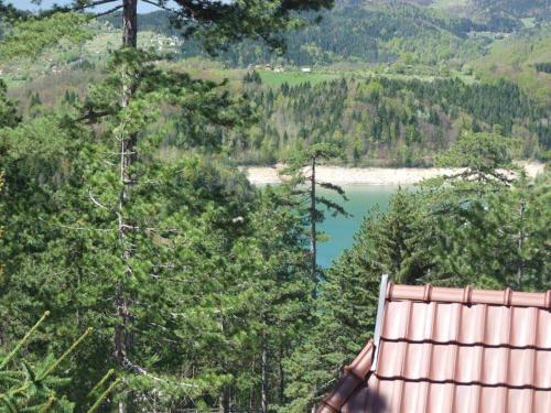189879595.jpg