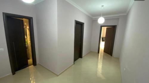 375871556.jpg