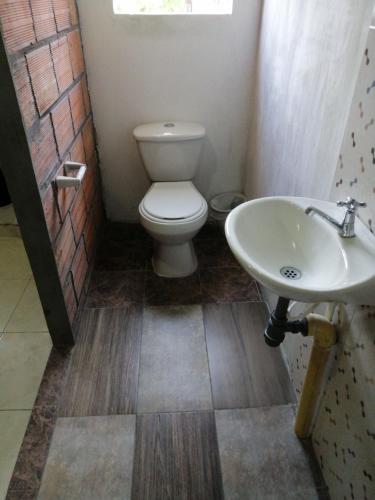 509751351.jpg