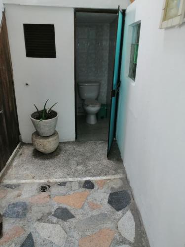 483794284.jpg