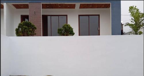 528478367.jpg