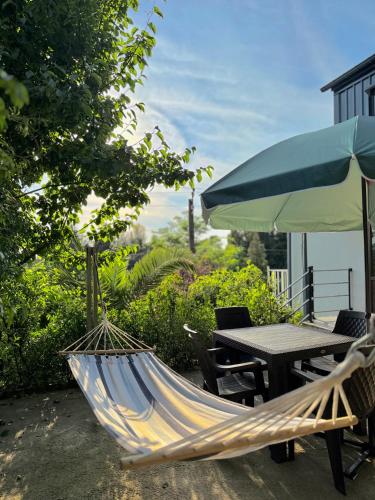 882834022.jpg