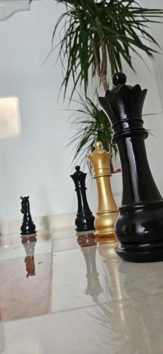 710829908.jpg