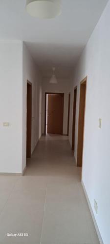549457637.jpg