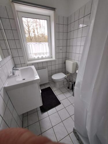 557451580.jpg