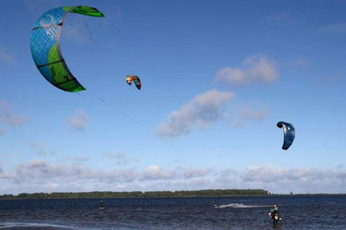 872331956.jpg