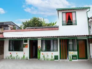 Casa Tulipan
