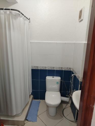 586722235.jpg