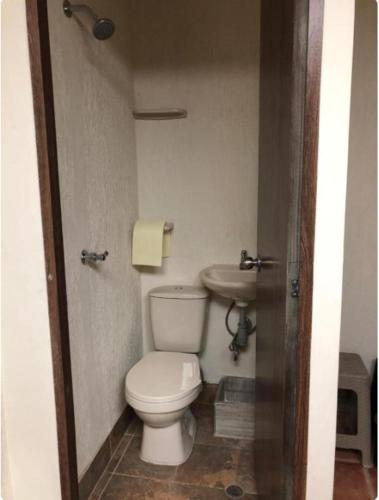 838384950.jpg