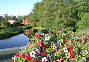 thumbnail: Garden