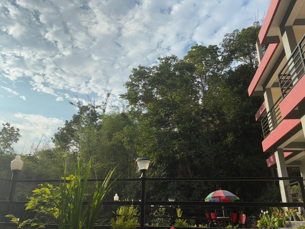 Garden view