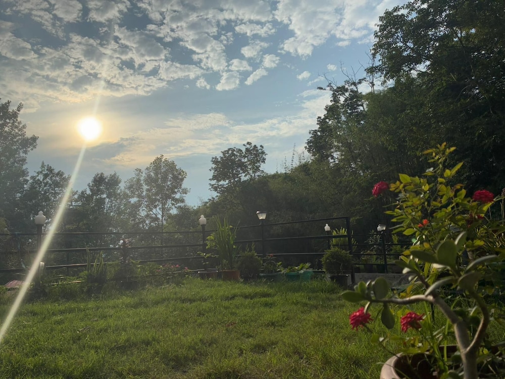 Garden view