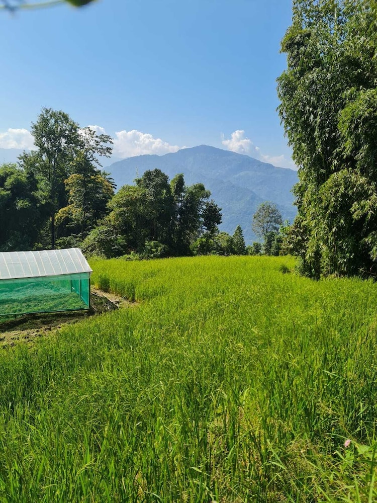 Land view from property
