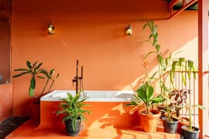 thumbnail: Terrace/patio