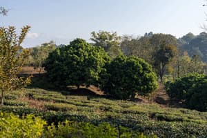 thumbnail: View from property