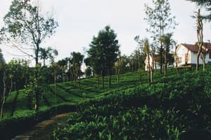 thumbnail: Children's play area - indoor