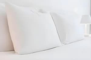 thumbnail: 2e6e24576d4ef0e44c35074240689ebb.jpeg