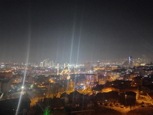 524552970.jpg