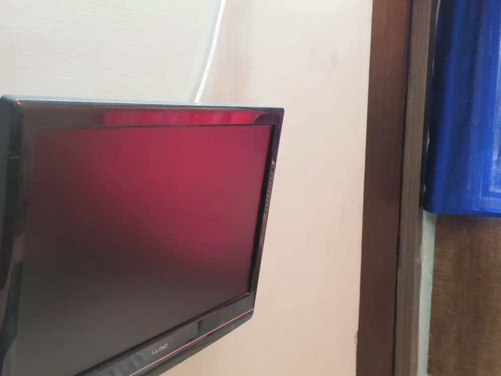 Television