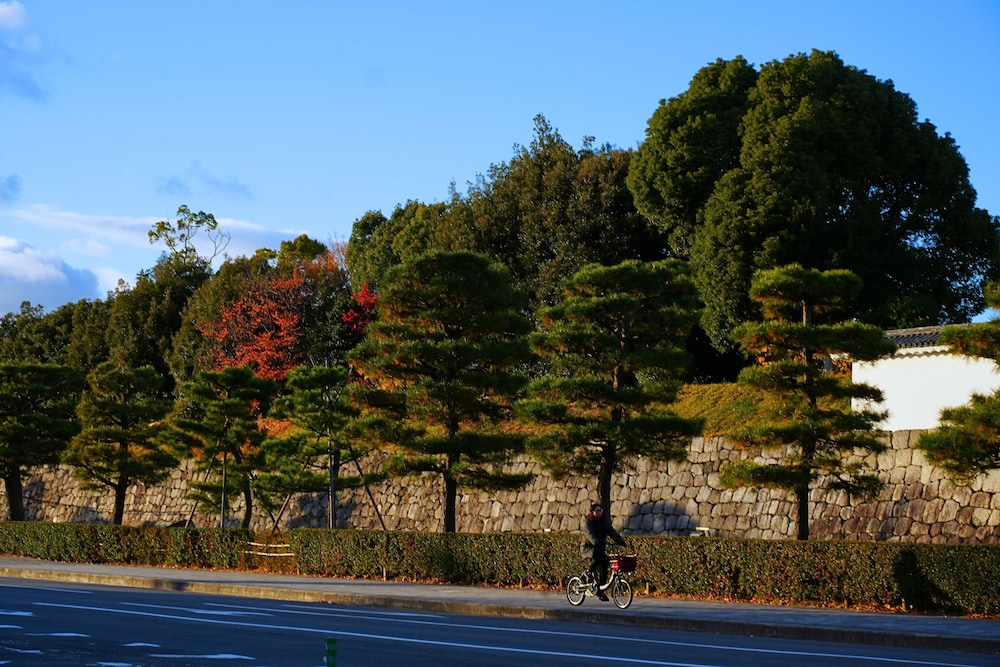 City view from property