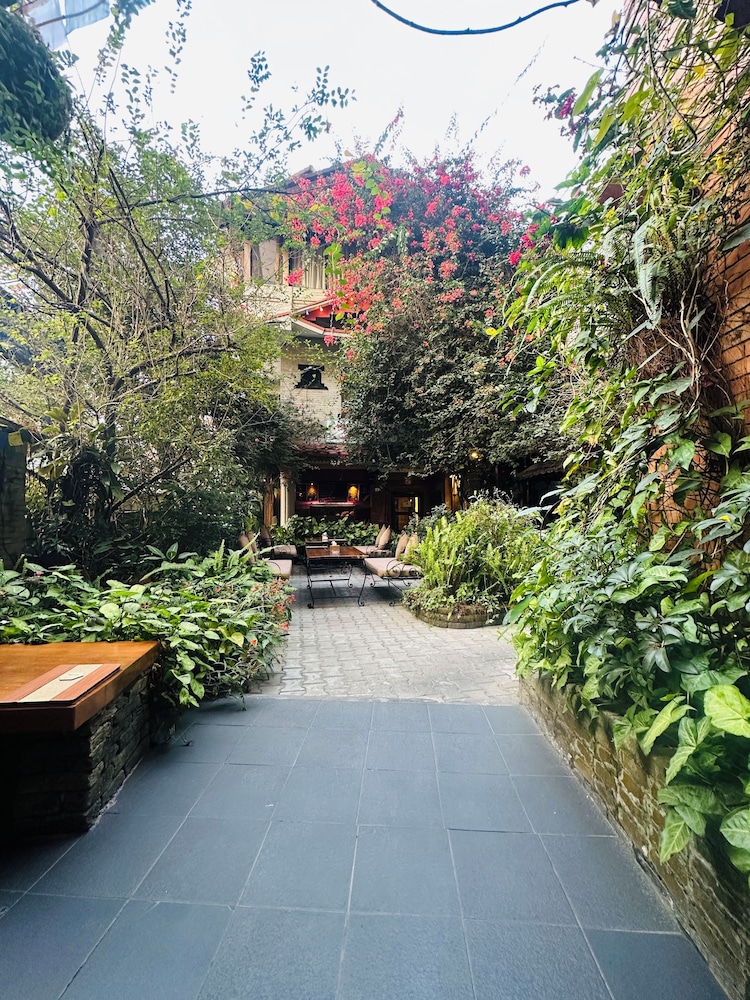 Garden view