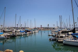 thumbnail: Marina