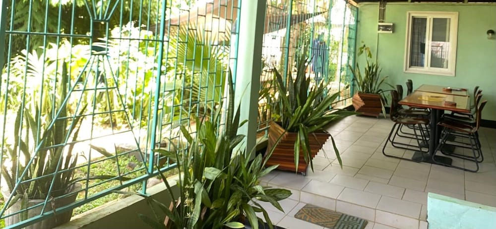 Garden view