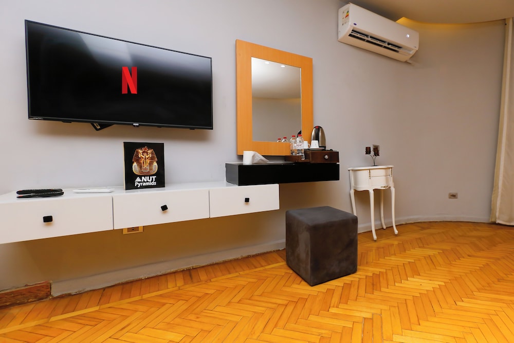 Television
