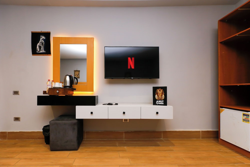 Television