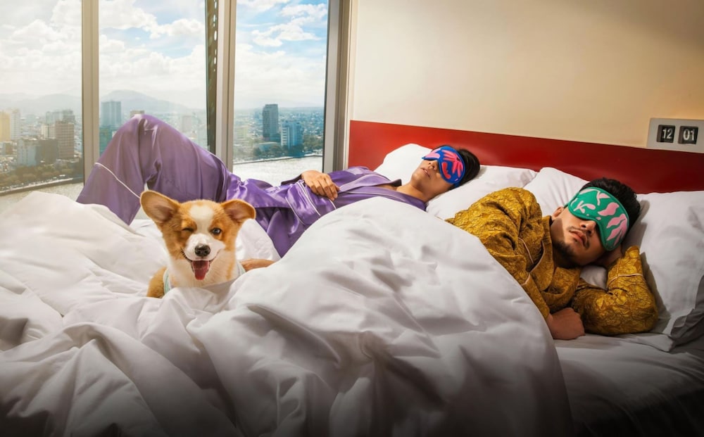 Pet-friendly