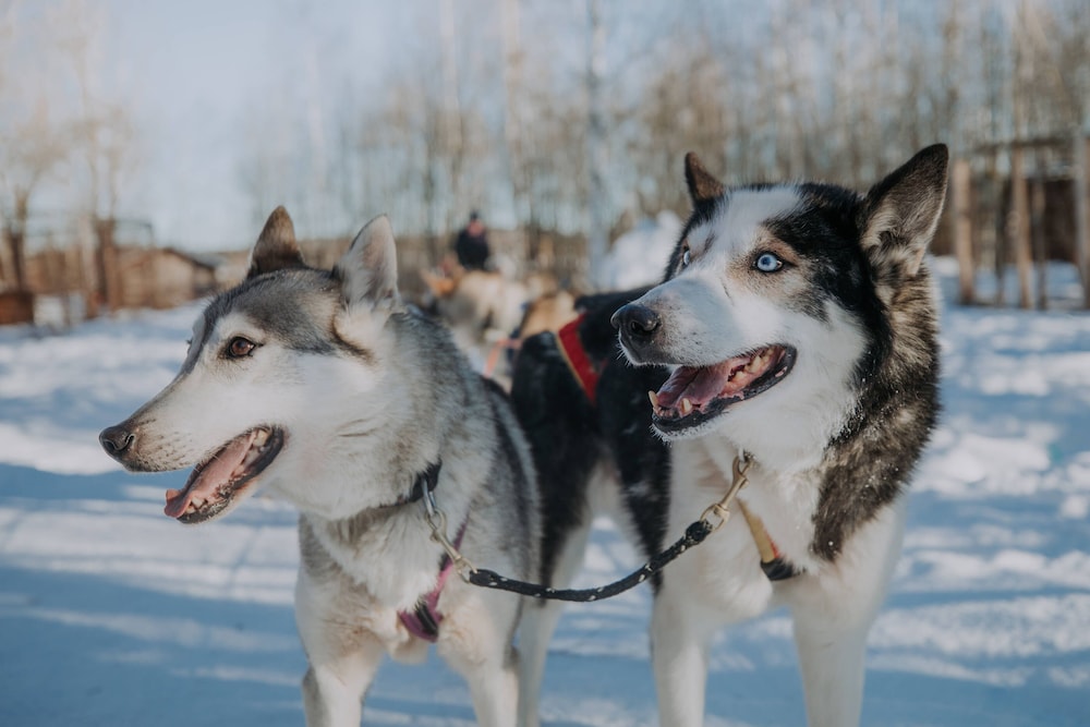 Children's activities