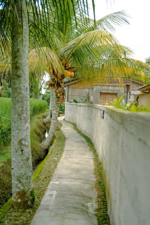 Taksu Sebatu Villa