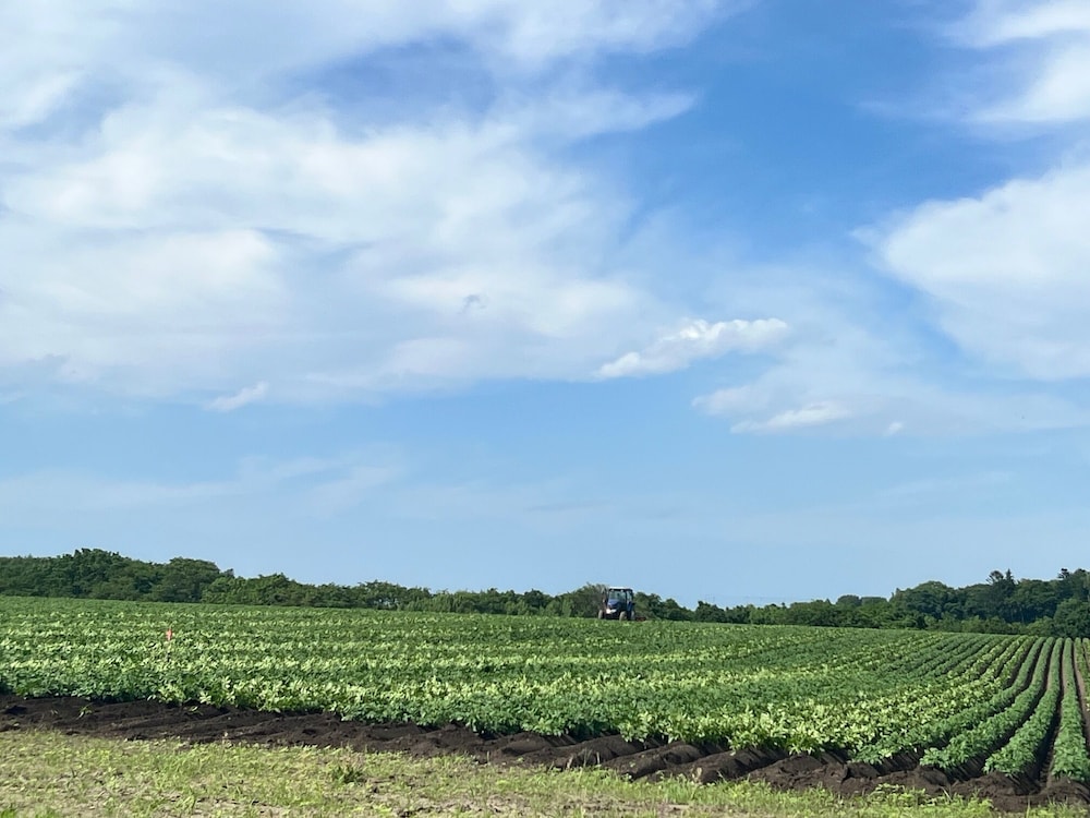 Land view from property
