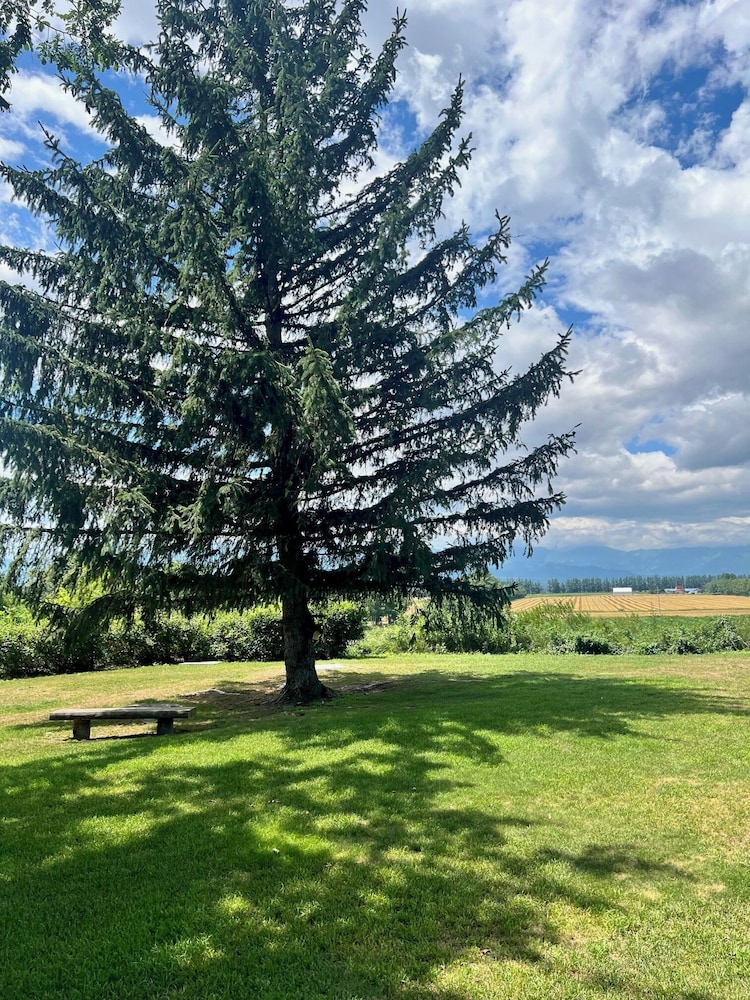 Land view from property