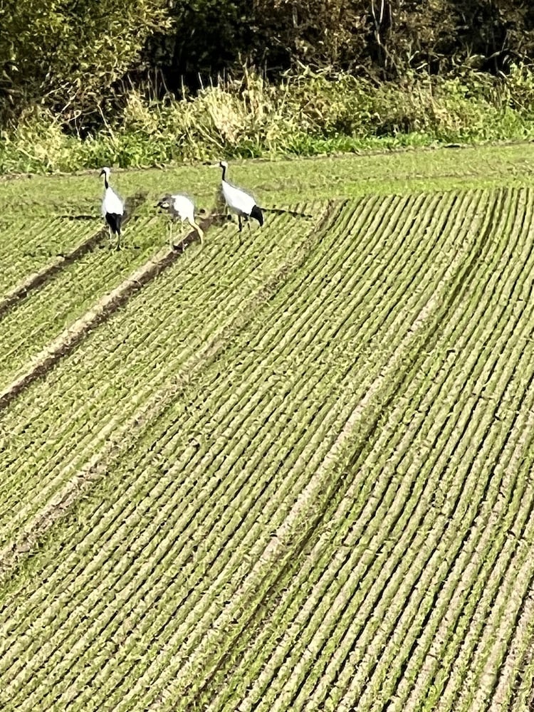 Land view from property